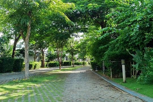 Phòng Deluxe 2 Giường Đơn