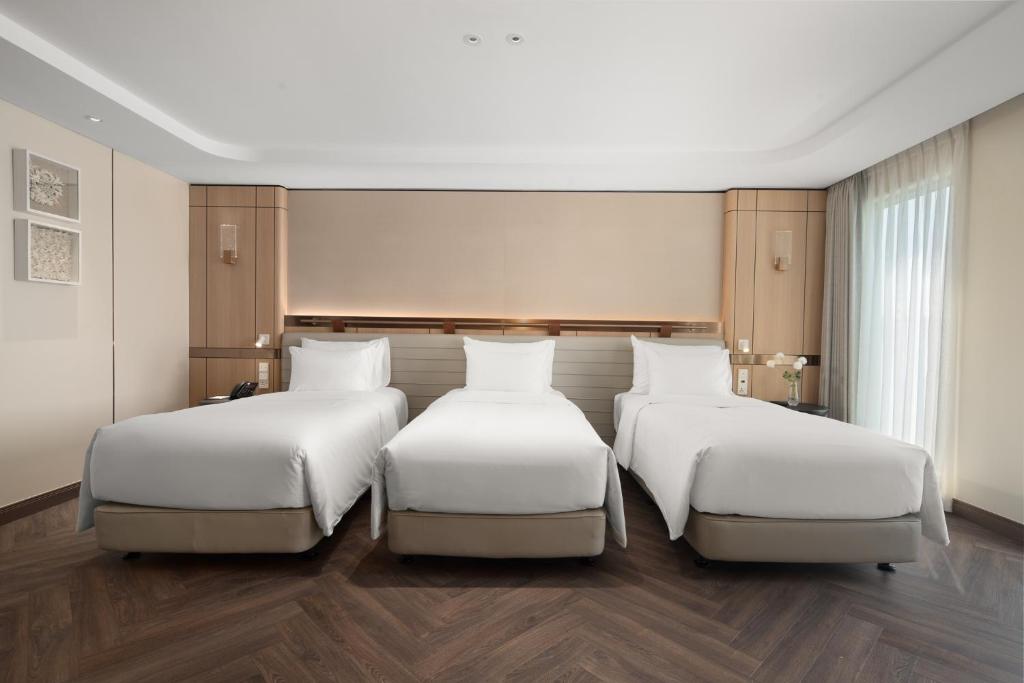 Suite cho 3 Người Nhìn ra Biển