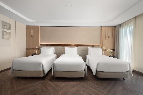 Suite cho 3 Người Nhìn ra Biển