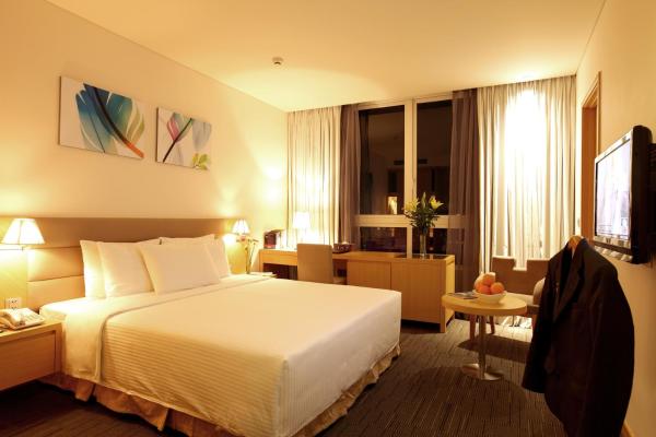 Phòng Executive Deluxe Giường Đôi/2 Giường Đơn