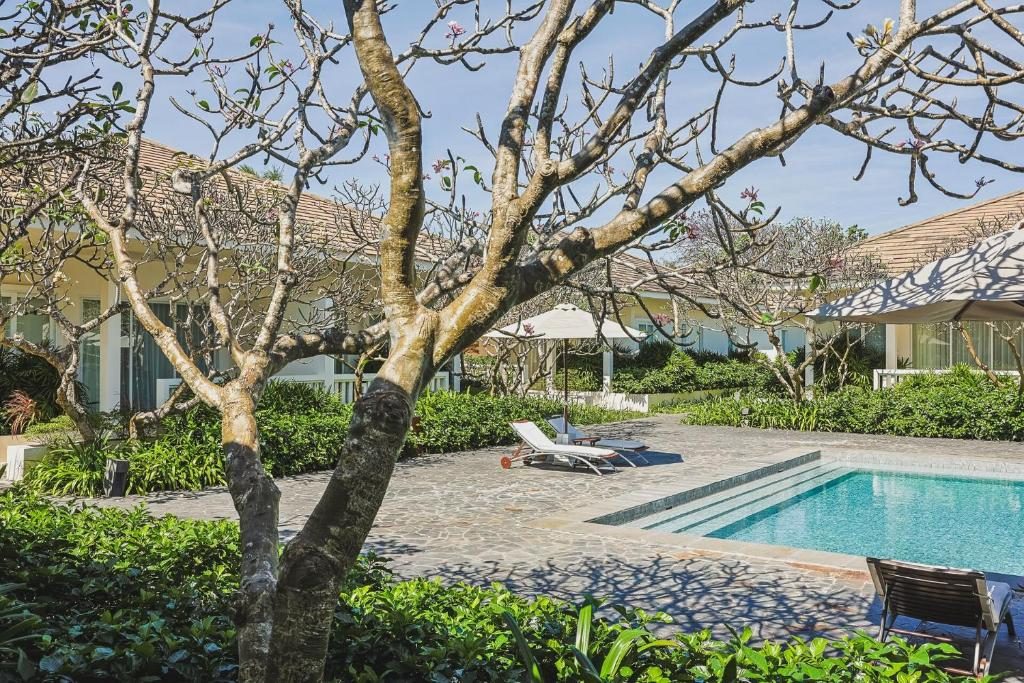 Deluxe Suite nhìn ra Hồ bơi