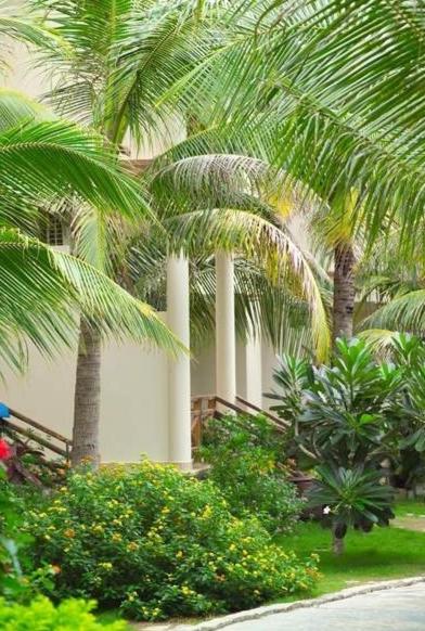 Phòng Premier Deluxe – Bên bờ Biển