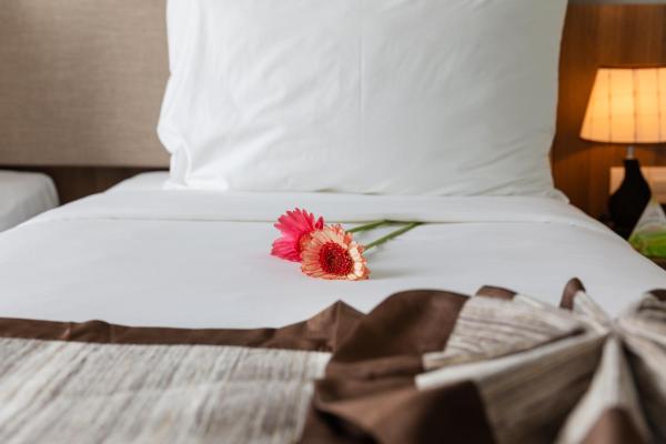 Phòng Tiêu chuẩn Giường Đôi không có Cửa sổ