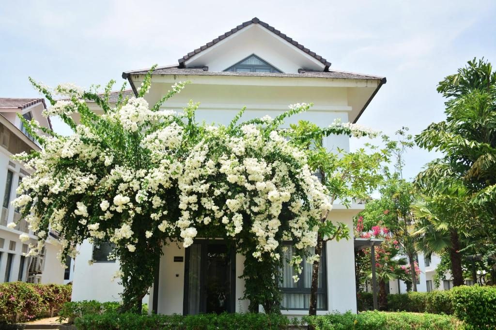 Biệt Thự 2 Phòng Ngủ