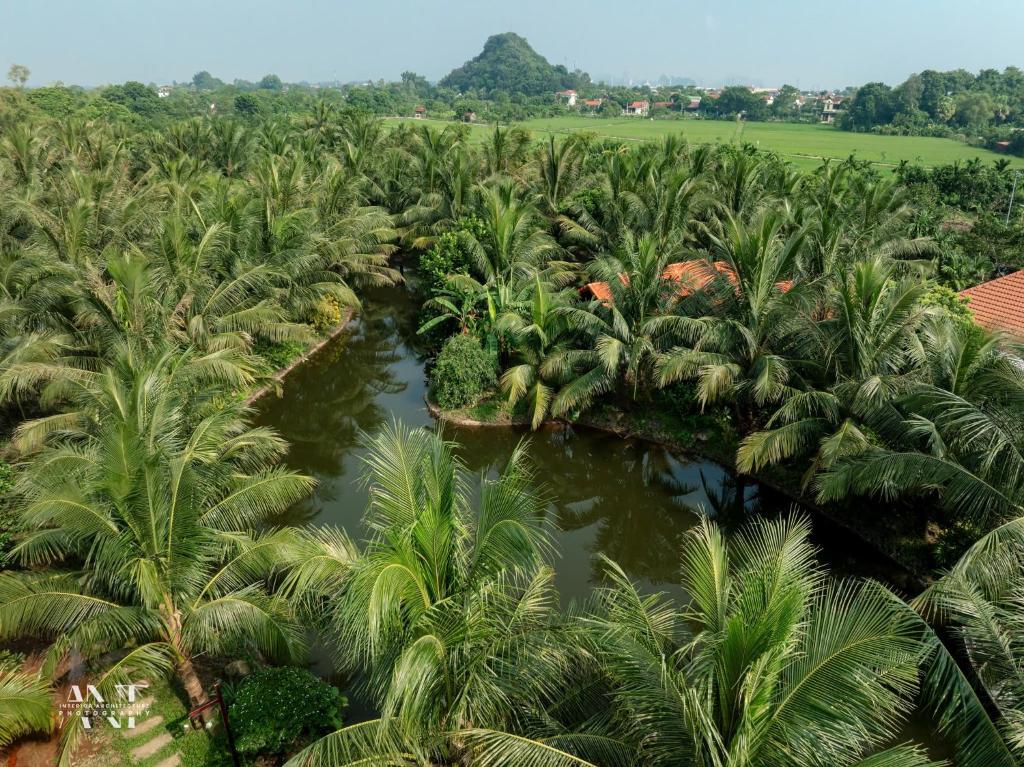 Phòng Giường Đôi Nhìn Ra Vườn