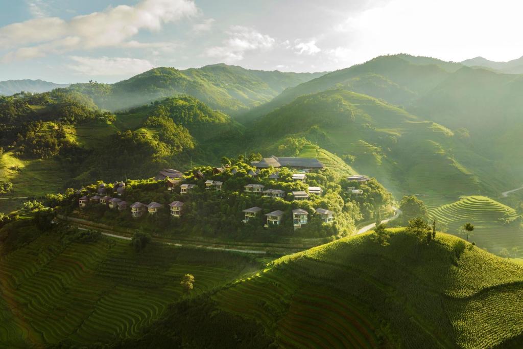 Garrya Mù Cang Chải