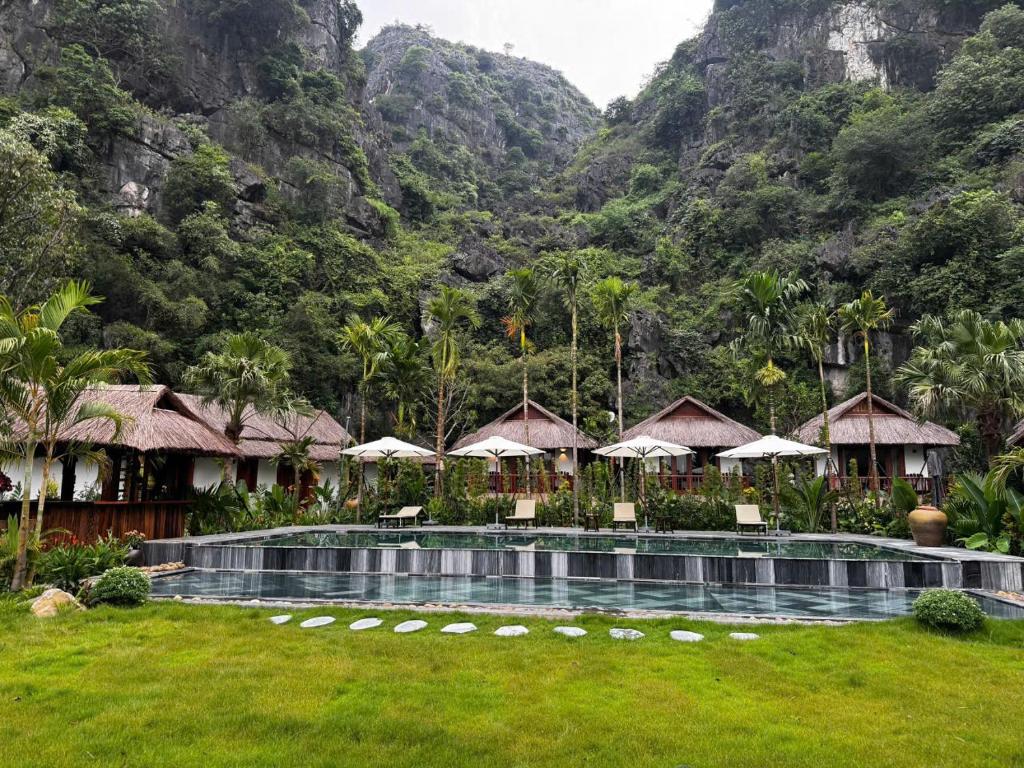 Tam Coc Golden Fields