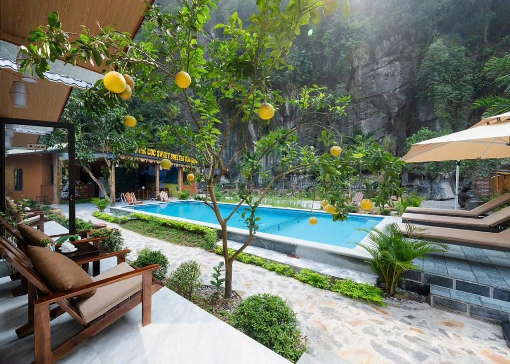 Suite Có Giường Cỡ King Nhìn Ra Hồ Bơi