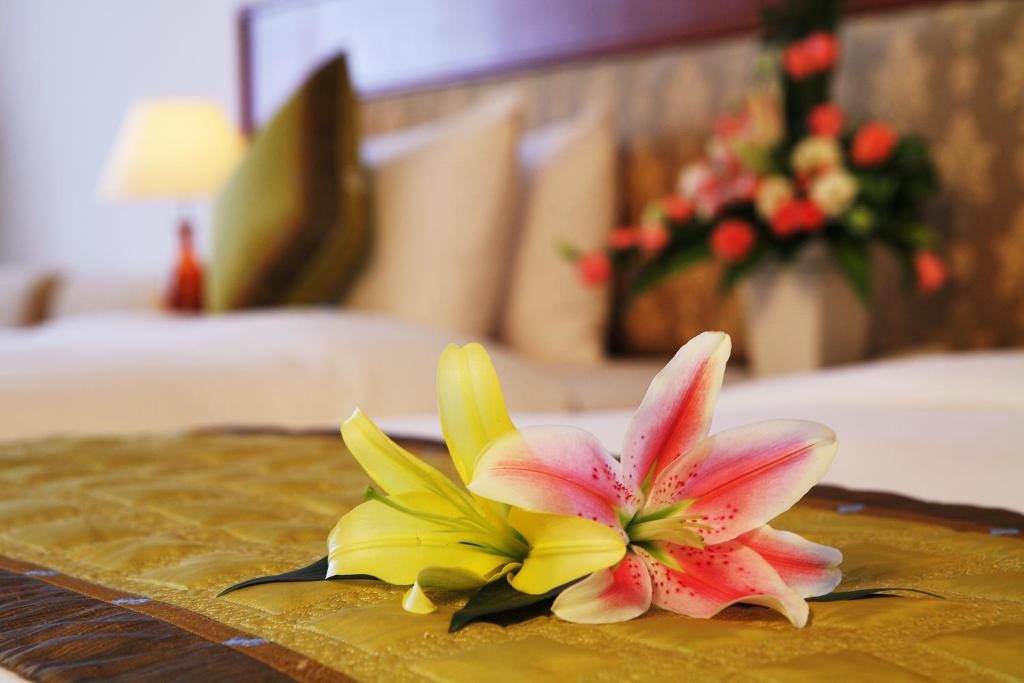 Executive Deluxe – Cánh Mới