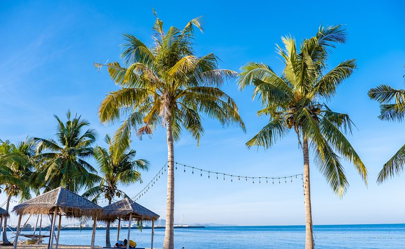 Bangkok – Pattaya – Trải nghiệm văn hóa Thái Lan