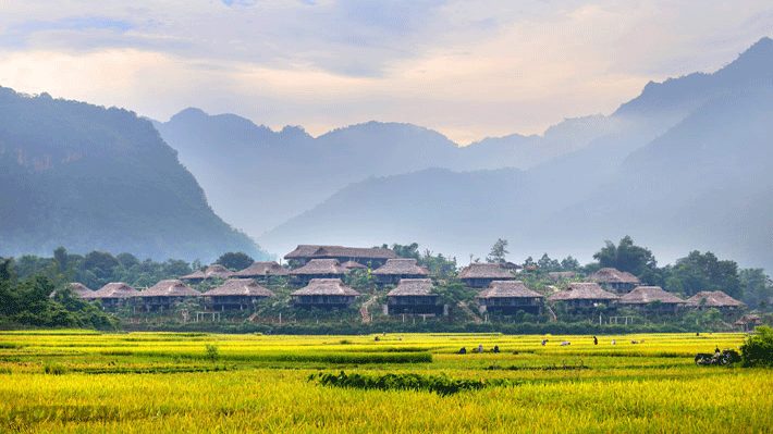 Tây Bắc 2N1Đ: Hà Nội – Mai Hịch – Pù Luông – Suối Cá Thần – Thác Mây