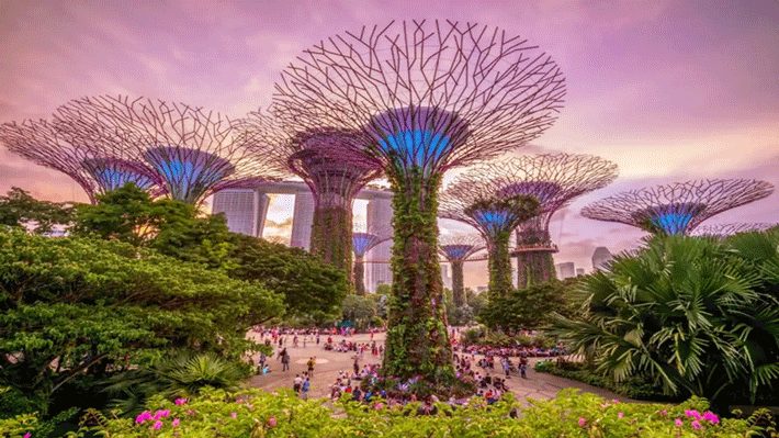 Singapore 3N2Đ: HCM – Haji Lane – Gardens By The Bay – Marina Barrage
