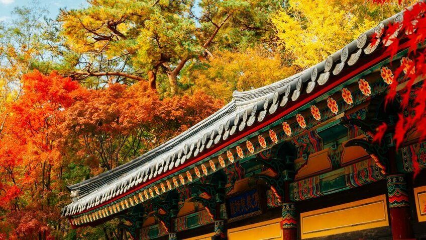 Hàn Quốc 4N4Đ: Seoul – Nami – Everland | Bay Sun Phú Quốc