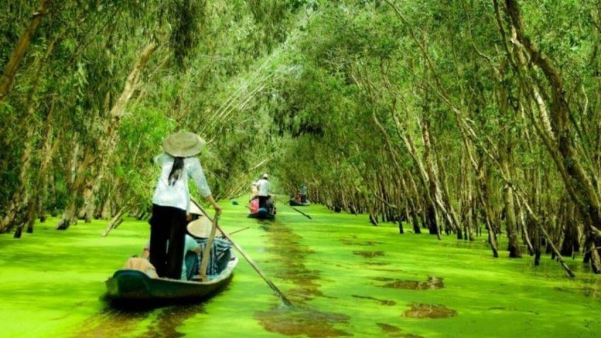 Hồ Chí Minh – Cái Bè – Cần Thơ – Châu Đốc – Bạc Liêu – Cà Mau 4N3Đ