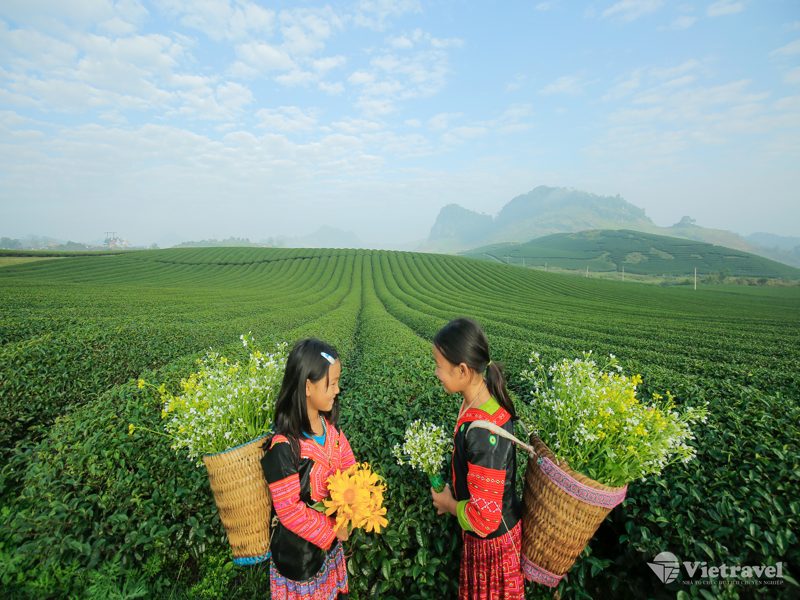 Khám phá Tây Bắc| Hòa Bình – Mộc Châu – Điện Biên – Lai Châu – Sapa