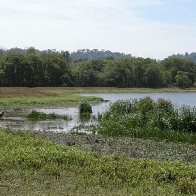 Đồng Nai
