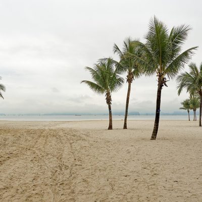 Hạ Long